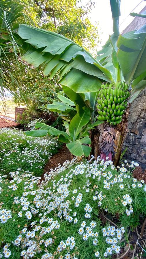 Casa Ideal Para Familias Com Vista Mar Desafogada Funchal  Esterno foto